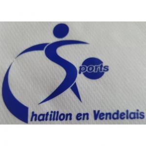 CHATILLON EN VENDELAIS